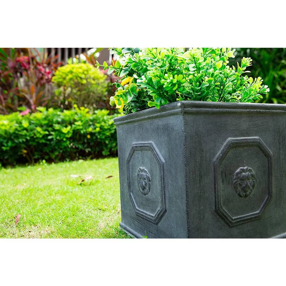 KANTE 12.6 in. W Square Antique Gray Lightweight Concrete/Fiberglass Indoor Outdoor English Lion Head Planter 6 KANTE 12.6 in. W Square Antique Gray Lightweight Concrete/Fiberglass Indoor Outdoor English Lion Head Planter - Image 4