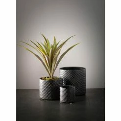 SULLIVANS Black Ceramic Pot -Set of 3 9 SULLIVANS Black Ceramic Pot -Set of 3 -Vigoro Platers Store black sullivans plant pots cm2939 1f 1000