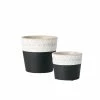 SULLIVANS Black Cement Flower Pots (Set of 2) -Vigoro Platers Store black sullivans plant pots cmt1175 64 1000