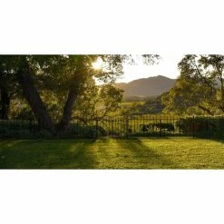 Vigoro Westbrook 36 in. x 48 in. Black Steel Fence Panel -Vigoro Platers Store black vigoro garden fencing 860329 fa 1000