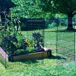 Vigoro 44 in. H x 36 in. W Steel Multi-Purpose No Dig Black Fence Panel 29 Vigoro 44 in. H x 36 in. W Steel Multi-Purpose No Dig Black Fence Panel -Vigoro Platers Store black vigoro garden fencing 860411 31 1000