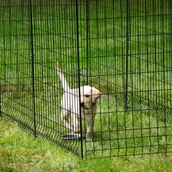 Vigoro 56 in. H Steel Multi-Purpose Black Fence Post (7-Pack) 18 Vigoro 56 in. H Steel Multi-Purpose Black Fence Post (7-Pack) -Vigoro Platers Store black vigoro garden fencing 860428 7pk 4f 1000