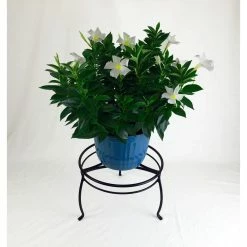Vigoro 8 in. Black Metal Indoor Plant Stand -Vigoro Platers Store black vigoro plant stands 51470 c3 1000