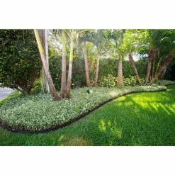 Vigoro EcoBorder 4 ft. Black Rubber Landscape Edging (Single) 17 Vigoro EcoBorder 4 ft. Black Rubber Landscape Edging (Single) -Vigoro Platers Store black vigoro rubber edging ecobrd blk 4 ft 76 1000