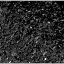 Vigoro EcoBorder 4 ft. Black Rubber Landscape Edging (6-Pack) -Vigoro Platers Store black vigoro rubber edging ecobrd blk 6pk 4f 1000