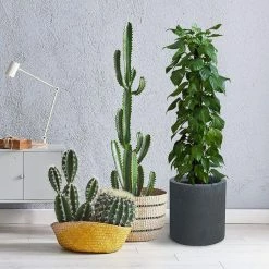 KANTE 15.8 in. x 12.9 in. and 9.8 in. W Round Charcoal Concrete/Fiberglass Indoor Outdoor Elegant Planters -Vigoro Platers Store charcoal kante plant pots osc0119abc c60121 1f 1000