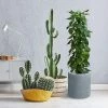 KANTE 12.9 in. W Round Charcoal Concrete/Fiberglass Indoor Outdoor Elegant Planter 2 KANTE 12.9 in. W Round Charcoal Concrete/Fiberglass Indoor Outdoor Elegant Planter -Vigoro Platers Store charcoal kante plant pots osc0119b c60121 64 1000
