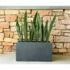 KANTE 23 in. L Rectangular Charcoal Concrete/Fiberglass Indoor Outdoor Elegant Planter -Vigoro Platers Store charcoal kante plant pots osf0104a c60121 64 1000