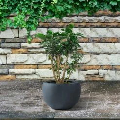 KANTE 8 in. H Charcoal Concrete and Fiberglass Round Bowl Planter, Outdoor Indoor Large Planters Pots with Drainage -Vigoro Platers Store charcoal kante plant pots rc0049a c60121 1f 1000