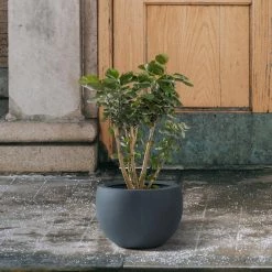 KANTE 8 in. H Charcoal Concrete and Fiberglass Round Bowl Planter, Outdoor Indoor Large Planters Pots with Drainage -Vigoro Platers Store charcoal kante plant pots rc0049a c60121 4f 1000