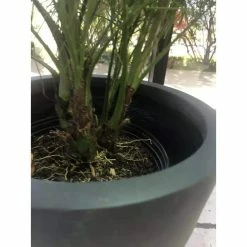 KANTE Medium 10 in. Tall Charcoal Lightweight Concrete Round Outdoor Bowl Planter -Vigoro Platers Store charcoal kante plant pots rc0051c c60121 44 1000