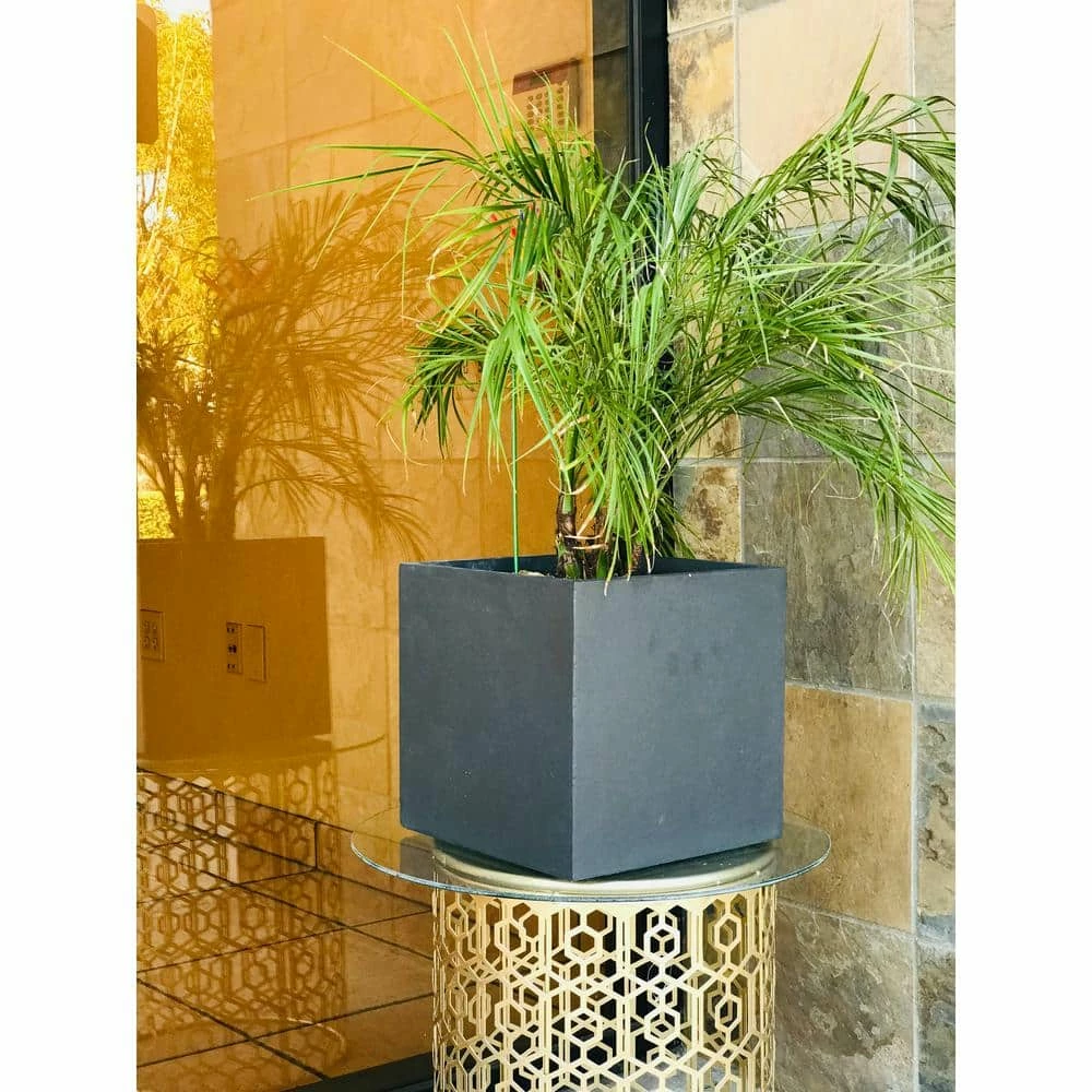 KANTE 10 in. Tall Charcoal Lightweight Concrete Square Modern Outdoor Planter 4 KANTE 10 in. Tall Charcoal Lightweight Concrete Square Modern Outdoor Planter - Image 2