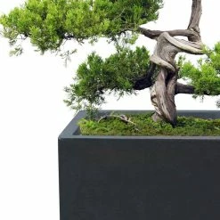 KANTE 19", 16" and 13"H Charcoal Finish Concrete Tall Square Set of 3, Outdoor Indoor Lightweight Planters w/ Drainage Hole -Vigoro Platers Store charcoal kante plant pots rf0007abc c60121 fa 1000