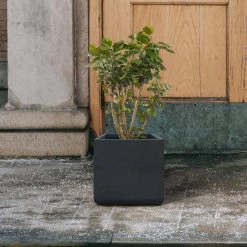 KANTE 11.81 x 11.81 in. Square Charcoal Lightweight Concrete and Weather Resistant Fiberglass Planter w/Drainage Hole -Vigoro Platers Store charcoal kante plant pots rf0221b c60121 44 1000