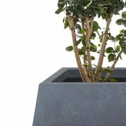KANTE 21.2 in. and 16.1 in. W Square Charcoal Finish Lightweight Concrete/Fiberglass Planters with Drainage Holes (Set of 2) -Vigoro Platers Store charcoal kante plant pots rf2015018ab c60121 4f 1000