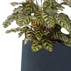 KANTE 10.63 in. x 13.78 in. Round Charcoal Lightweight Concrete and Weather Resistant Fiberglass Planter w/Drainage Hole 14 KANTE 10.63 in. x 13.78 in. Round Charcoal Lightweight Concrete and Weather Resistant Fiberglass Planter w/Drainage Hole -Vigoro Platers Store charcoal kante plant pots rf2015023c c60121 1f 1000