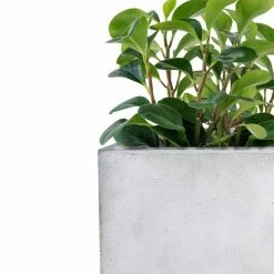 KANTE 31" and 23"L Rectangular Large Concrete Long Box Planters Set of 2, Outdoor/Indoor Strong UV Resistant w/Drainage Holes -Vigoro Platers Store concrete kante plant pots rf0104ab c81921 76 1000