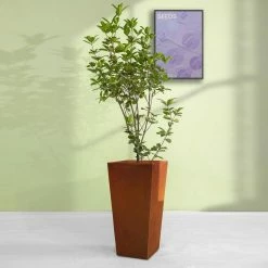KANTE 24.4 in. H Rectangle Faux Weathering Steel Lightweight Concrete Tapered Tall Planter with Drainage Hole, Outdoor/Indoor -Vigoro Platers Store faux weathering steel kante plant pots rf0004c c91942 76 1000