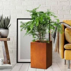 KANTE 16 in. H Faux Weathering Steel Finish Concrete Square, Modern Outdoor/Indoor Lightweight Planter Pot with Drainage Hole -Vigoro Platers Store faux weathering steel kante plant pots rf0007b c91942 76 1000