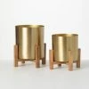 SULLIVANS Brass Planter On Stands - Set of 2 -Vigoro Platers Store gold sullivans plant pots n2715 64 1000