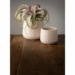 Vigoro Platers Store -Vigoro Platers Store gray sullivans plant pots cm2943 c3 1000