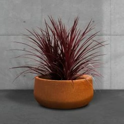 KANTE 16 in. Dia. Round Iron Oxide Concrete Bowl Planter, Outdoor Indoor Large Planter Pot with Drainage Hole 16 KANTE 16 in. Dia. Round Iron Oxide Concrete Bowl Planter, Outdoor Indoor Large Planter Pot with Drainage Hole -Vigoro Platers Store iron oxide kante plant pots rc0051b c80621 44 1000