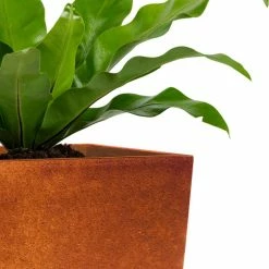 KANTE 28 in. H Iron Oxide Lightweight Concrete Tapered Planter with Drainage Hole, Large Outdoor/Indoor Tall Square Planter -Vigoro Platers Store iron oxide kante plant pots rf0229a s c80621 31 1000