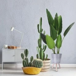 KANTE 17.4 in. Tall Light Gray Lightweight Concrete Classic Outdoor/Indoor Cylindrical Planter with 3 Wooden Legs 11 KANTE 17.4 in. Tall Light Gray Lightweight Concrete Classic Outdoor/Indoor Cylindrical Planter with 3 Wooden Legs -Vigoro Platers Store light gray kante plant pots 18h231 ct 1f 1000