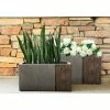 KANTE 31 in and 23 in. L Rectangular Lodgepole Concrete/Fiberglass Indoor Outdoor Elegant Long Planters (Set of 2) -Vigoro Platers Store lodgepole kante plant pots osf0219ab c81051 64 1000