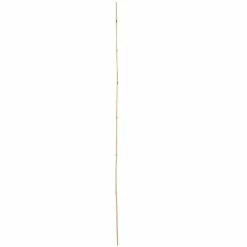 Vigoro 5 ft. Natural Bamboo Stake -Vigoro Platers Store natural bamboo beige vigoro tomato cages bb5vg 1f 1000