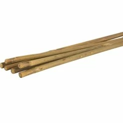 Vigoro 5 ft. Natural Bamboo Stake -Vigoro Platers Store natural bamboo beige vigoro tomato cages bb5vg 4f 1000