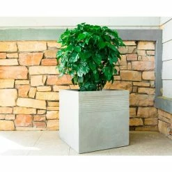 KANTE 15 in. W Square Natural Concrete/Fiberglass Indoor Outdoor Elegant Planter -Vigoro Platers Store natural concrete kante plant pots osf0128b c80021 fa 1000