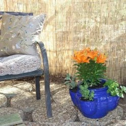 Vigoro 6 ft. H x 16 ft. W Natural Reed Garden Fencing Roll -Vigoro Platers Store natural vigoro garden fencing 0406164 44 1000