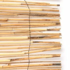 Vigoro 4 ft. H x 8 ft. W Natural Peeled and Polished Reed Fencing 11 Vigoro 4 ft. H x 8 ft. W Natural Peeled and Polished Reed Fencing -Vigoro Platers Store natural vigoro garden fencing 4477301 4f 1000