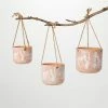 SULLIVANS Terracotta Herb Hanging Ceramic Planters - Set of 3 -Vigoro Platers Store orange sullivans plant pots cm3008 64 1000
