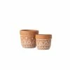 SULLIVANS Orange Cement Planter (Set of 2) -Vigoro Platers Store orange sullivans plant pots cmt1180 64 1000