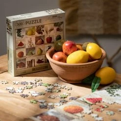 SULLIVANS Adobe Cement Dish Planter - Set of 3 -Vigoro Platers Store orange sullivans plant pots cmt1218 1f 1000