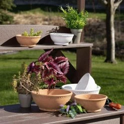 SULLIVANS Adobe Cement Dish Planter - Set of 3 -Vigoro Platers Store orange sullivans plant pots cmt1218 4f 1000