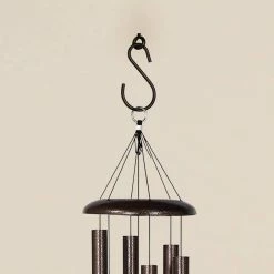 Vigoro 1.77 in. x 0.157 in. x 3.35 in. Black Metal Extender Hooks (2-Pack) -Vigoro Platers Store powder coating vigoro plant hangers 541117 66 1000