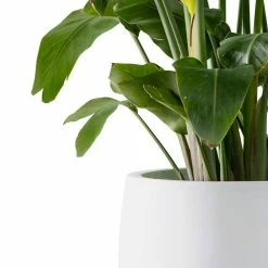 KANTE 19.6 in., 15.7 in. & 11.8 in. W Round Pure White Concrete Elegant Planters Set of 3, Outdoor Indoor w/Drainage Holes -Vigoro Platers Store pure white kante plant pots rc0051abc c80011 1f 1000