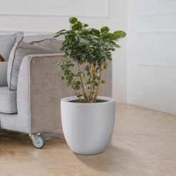 KANTE 13.39 in. x 12.6 in. Round Pure White Lightweight Concrete and Fiberglass Indoor Outdoor Planter with Drainage Hole -Vigoro Platers Store pure white kante plant pots rc0152b c80011 44 1000