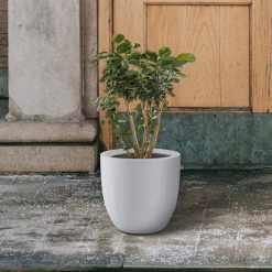 KANTE 13.39 in. x 12.6 in. Round Pure White Lightweight Concrete and Fiberglass Indoor Outdoor Planter with Drainage Hole -Vigoro Platers Store pure white kante plant pots rc0152b c80011 fa 1000