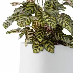 KANTE 17.3 in. H Round Pure White Concrete Planter, Outdoor Indoor Large Planter Pots Containers with Drainage Holes -Vigoro Platers Store pure white kante plant pots rf2015022b c80011 4f 1000