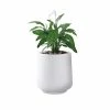 KANTE 17.3 in. H Round Pure White Concrete Planter, Outdoor Indoor Large Planter Pots Containers with Drainage Holes -Vigoro Platers Store pure white kante plant pots rf2015022b c80011 64 1000