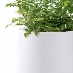 KANTE 13.4 in. H Pure White Tuliped Round Concrete Planter, Outdoor Indoor Large Planter Pots, Containers with Drainage Holes -Vigoro Platers Store pure white kante plant pots rf2015022c c80011 44 1000