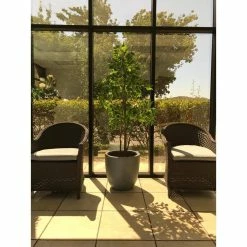 KANTE 10 in. W Round Slate Gray Concrete/Fiberglass Indoor Outdoor Elegant Planter -Vigoro Platers Store slate gray kante plant pots osc0050a c60611 76 1000