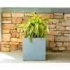 KANTE 10 in. W Square Slate Gray Lightweight Concrete/Fiberglass Indoor Outdoor Modern Elegant Planter -Vigoro Platers Store slate gray kante plant pots osf0001a c60611 64 1000