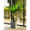KANTE 13 in. H Square Slate Gray Lightweight Concrete/Fiberglass Indoor Outdoor Modern Planter -Vigoro Platers Store slate gray kante plant pots osf0007a c60611 64 1000