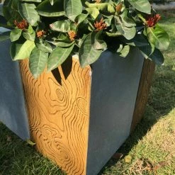 KANTE 31 in. L Rectangular Timber Ridge Concrete/Fiberglass Indoor Outdoor Elegant Long Planter 16 KANTE 31 in. L Rectangular Timber Ridge Concrete/Fiberglass Indoor Outdoor Elegant Long Planter -Vigoro Platers Store timber ridge kante plant pots osf0219b c80811 4f 1000