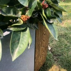 KANTE 31 in. L Rectangular Timber Ridge Concrete/Fiberglass Indoor Outdoor Elegant Long Planter 14 KANTE 31 in. L Rectangular Timber Ridge Concrete/Fiberglass Indoor Outdoor Elegant Long Planter -Vigoro Platers Store timber ridge kante plant pots osf0219b c80811 66 1000